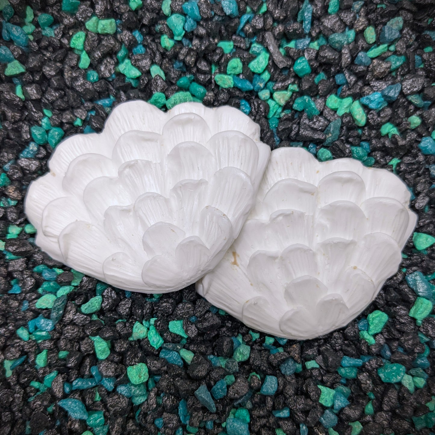 Small Ruffled Shell Set