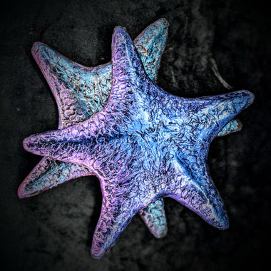 Silicone Starfish Clam Abalone Shell Set Dragon Skin Mermaid Top ID Fabrications IDFabrications
