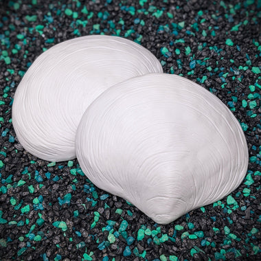 Release the Kraftin' Pismo Clam Shell Set