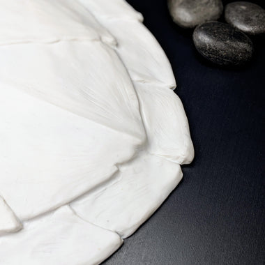 Hawksbill sea turtle shell blank and ready to create mermaid tops and accessories