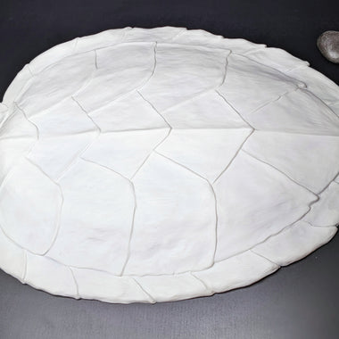 Hawksbill sea turtle shell blank and ready to create mermaid tops and accessories  IDfabrications
