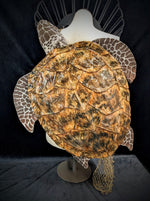 Sea Turtle Back Pack ID fabrications painted to look like a green sea turtle 