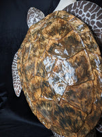 Sea Turtle Back Pack ID fabrications painted to look like a green sea turtle 