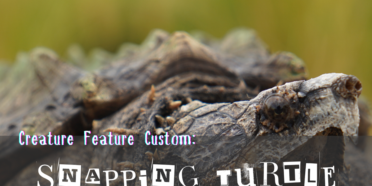 Creature Feature: Spooky '25 - Limited Edition Custom Creation SNAPPIN ...