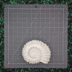 Blank plastic Ammonite fossil shell set from IDfabrications ID Fabrications for cosplay crafting mermaid tops and merfolk accessories