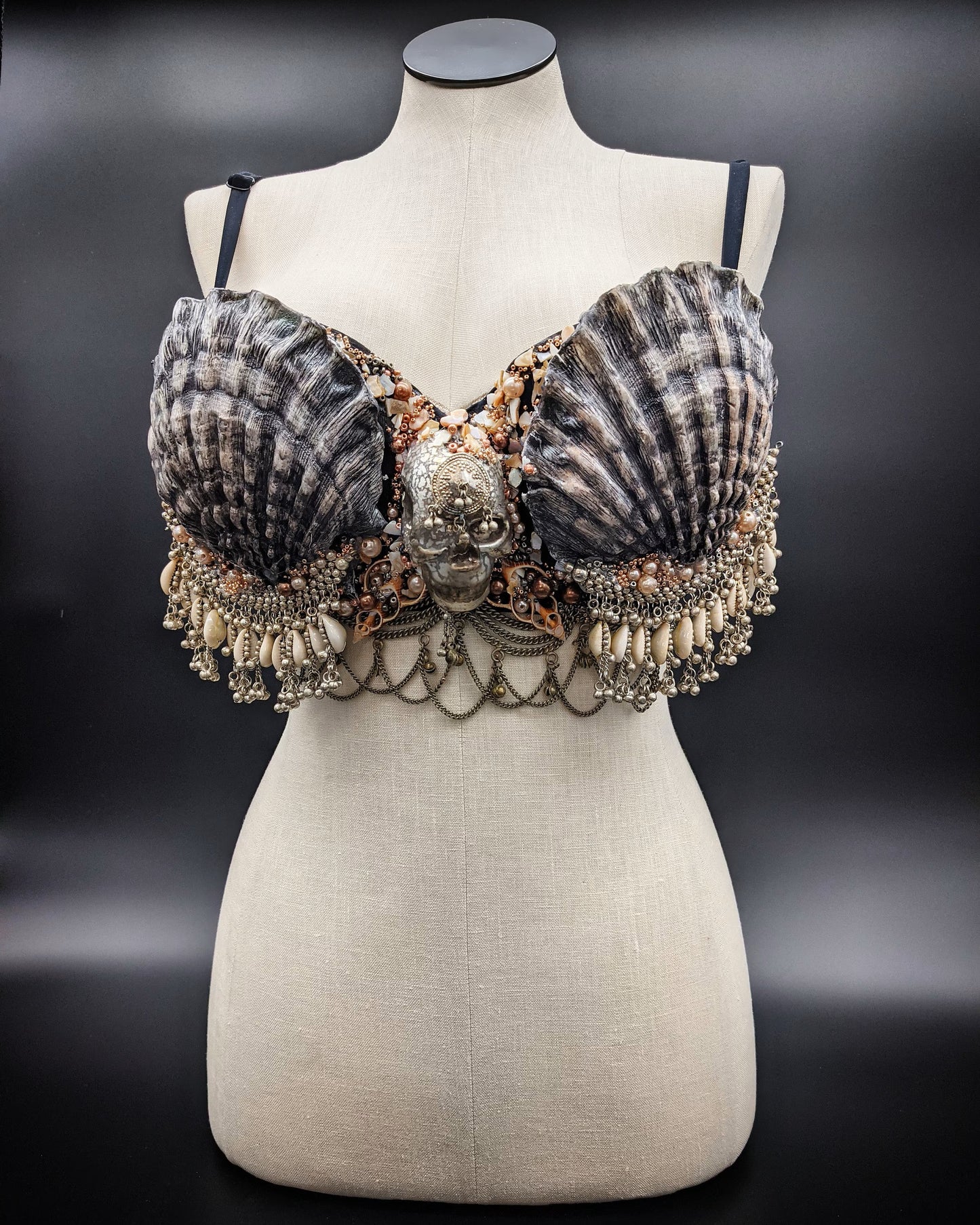 Lion Paw Shell Set – IDfabrications