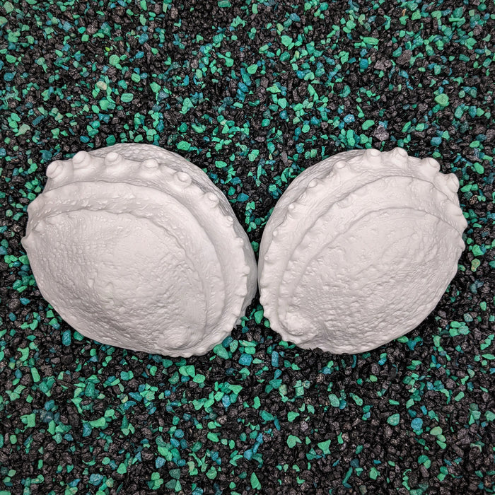 Blank Abalone Shell Set plastic shells for Mermaid tops and Accessories. ID Fabrications hand sculpted seashells