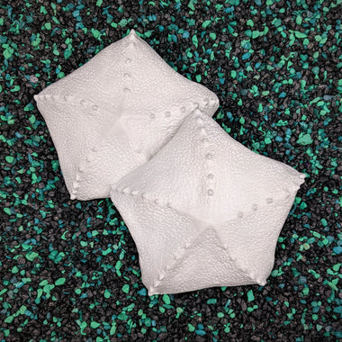 Blank plastic shell set from IDfabrications ID Fabrications for cosplay crafting mermaid tops and merfolk accessories Seashell cushion star starfish