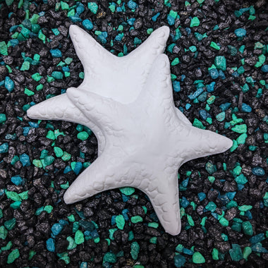 Small Starfish Set