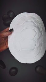 Release the Kraftin' Large Turtle Shell Set