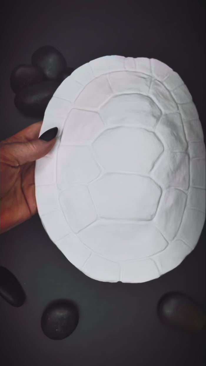Release the Kraftin' Large Turtle Shell Set