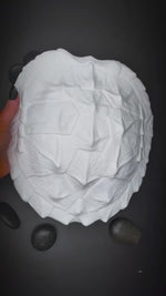 Release the Kraftin'™ Snapping Turtle Shell