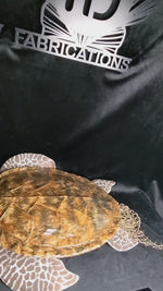 ID Fabrications Sea Turtle Backpack in action